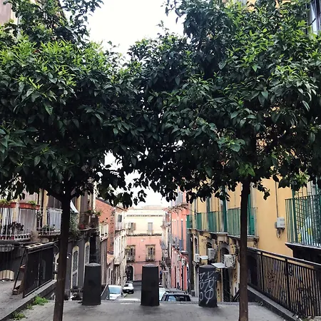 Guest house Dimora San Camillo