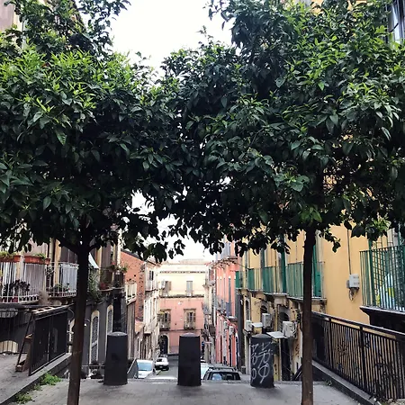 Dimora San Camillo 4* Katanya